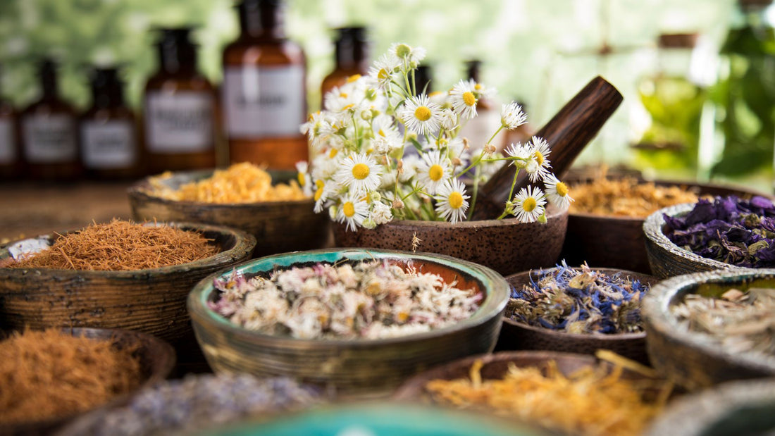 Home Grown Medicine Kit