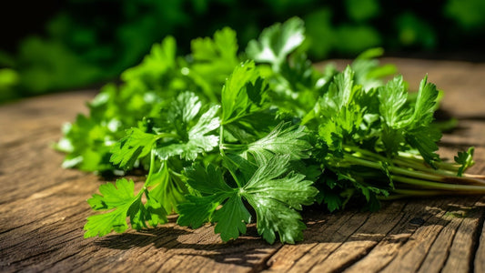 How to use Leaf Coriander