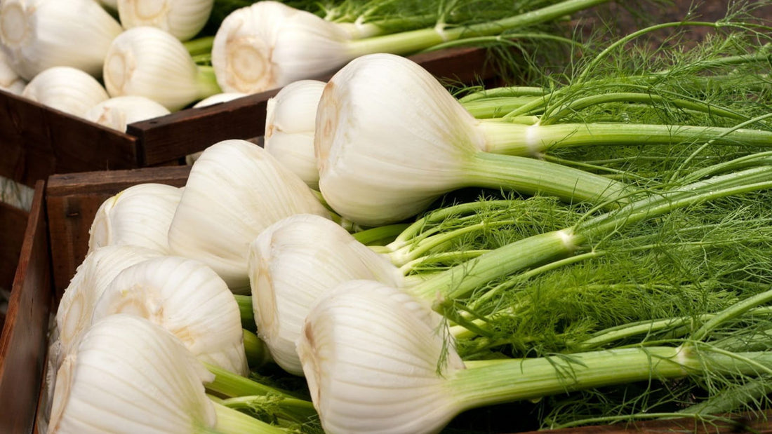 Mediterranean Tips & Recipes