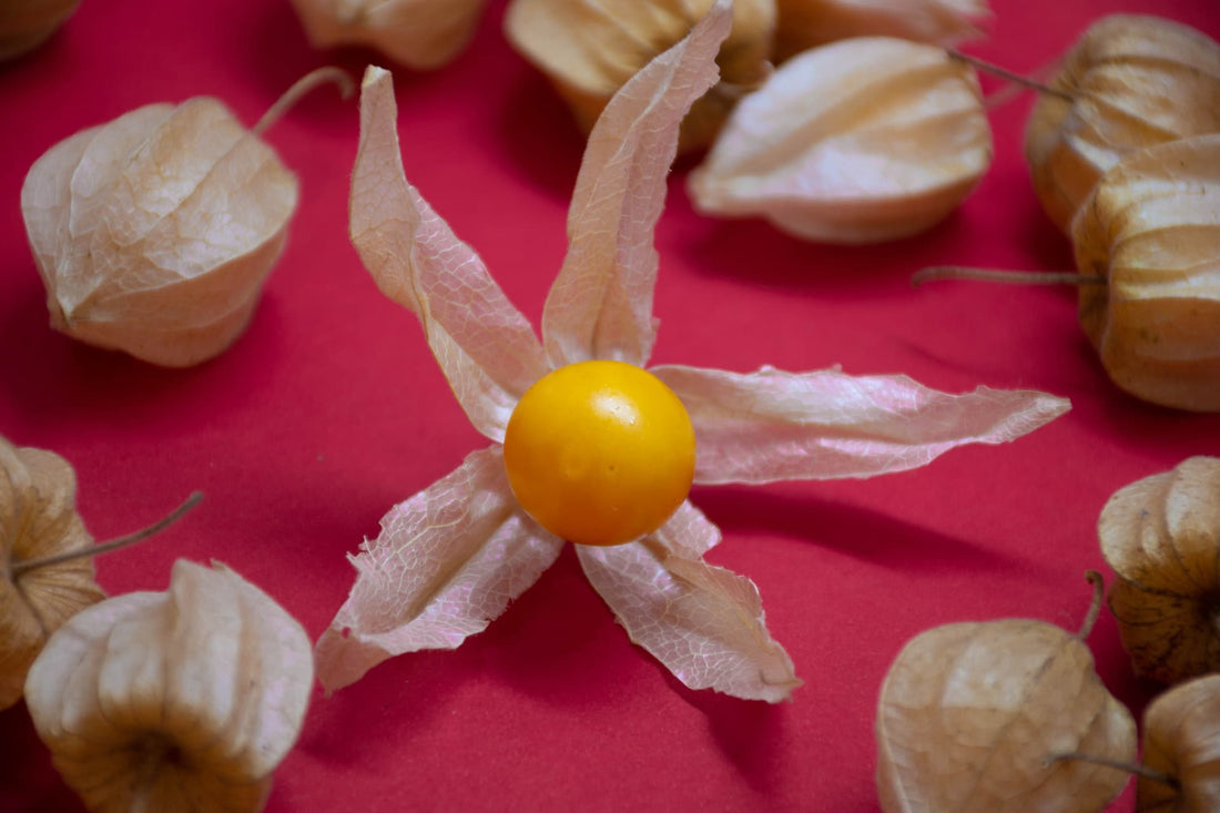 Cape Gooseberries