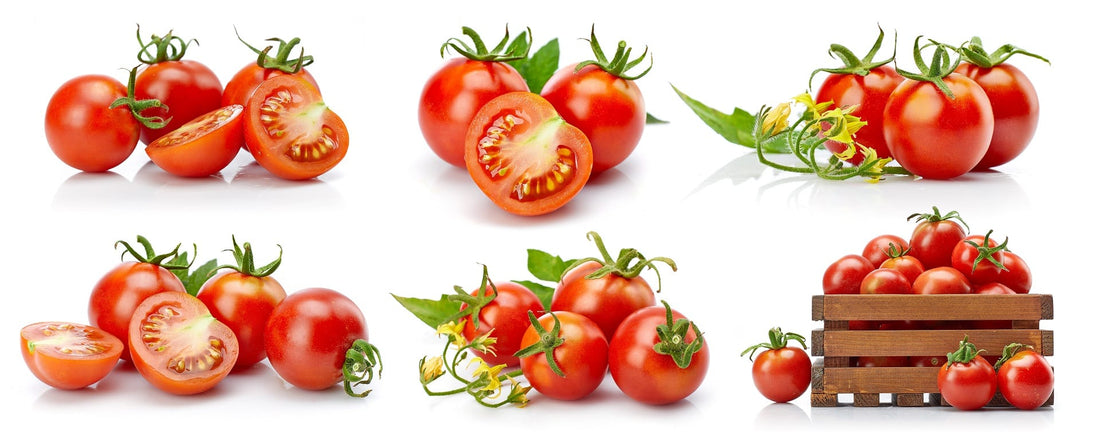 Cherry Tomatoes