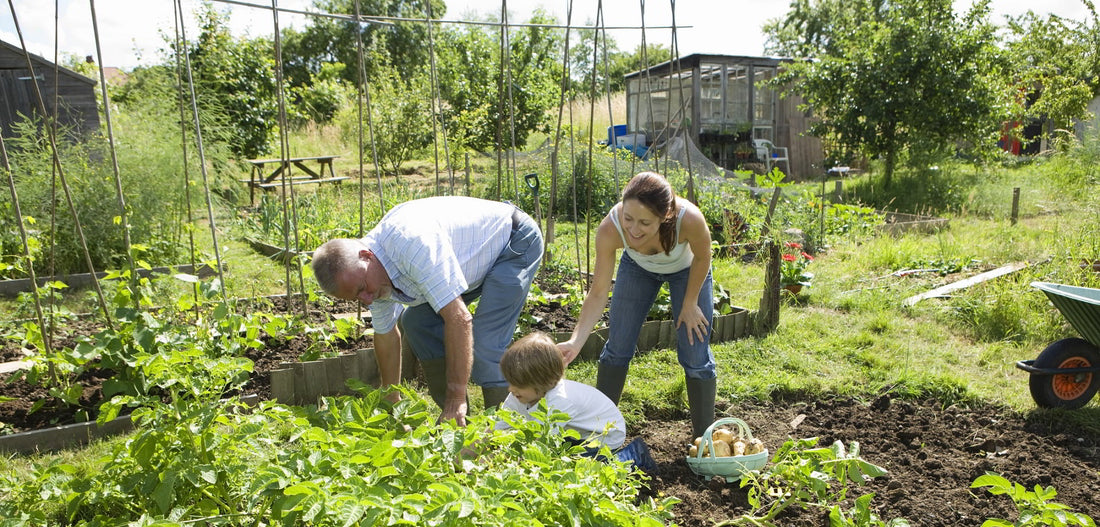 Community Gardens