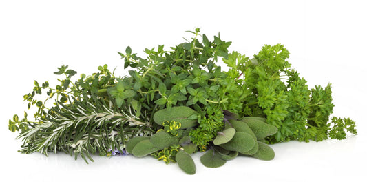 Guide to Growing and Using Parsley, Sage, Rosemary and Thyme