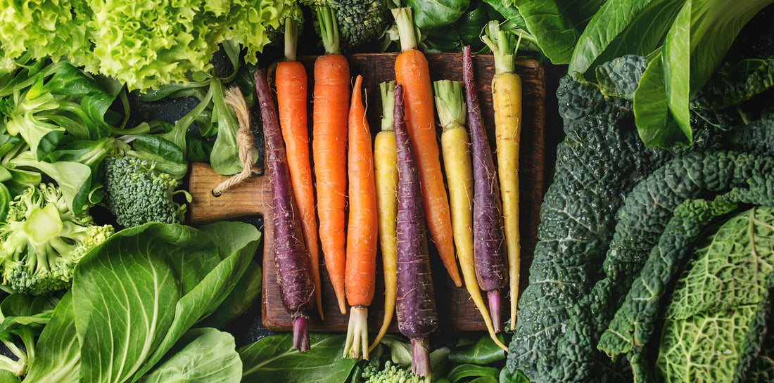 Guide to Sowing & Growing Carrots