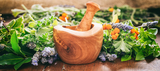 Healing Herbs as Natural Medicine