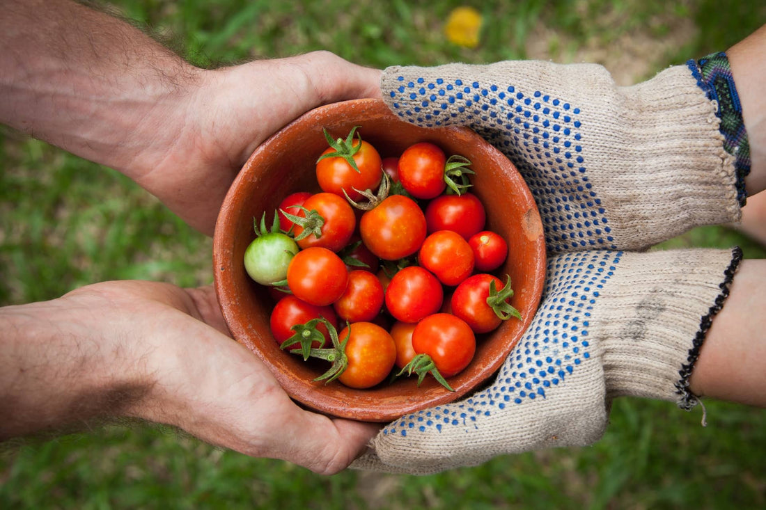 It's Harvest Time!