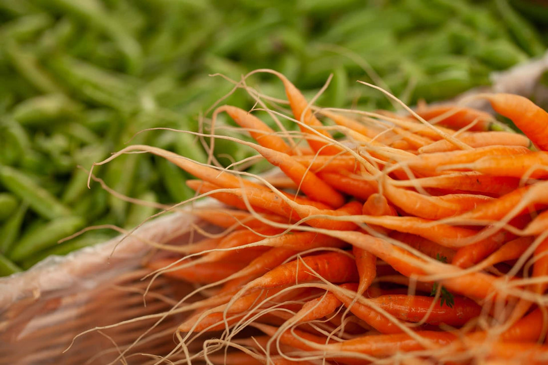 Orange/White Vegetables for Autumn Gardens