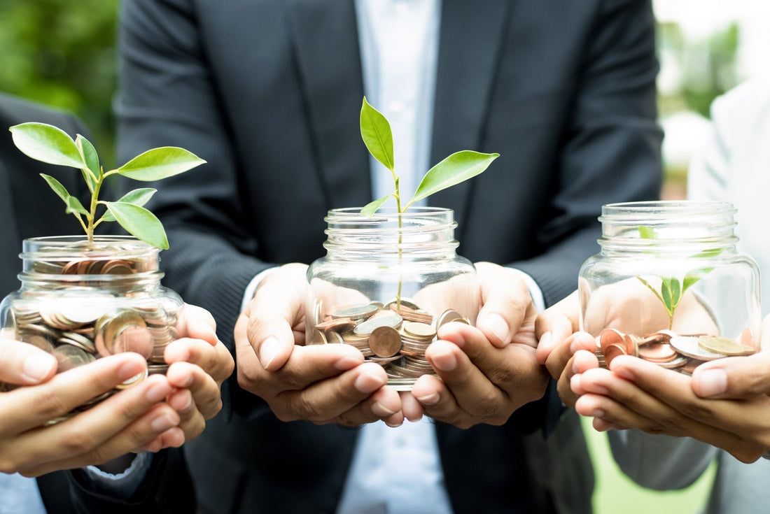 Eco-Friendly Fundraising Ideas for Schools & Charities in NZ