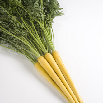 Carrot Nutri-Yellow F1
