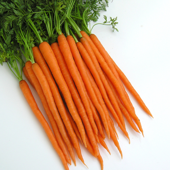 Carrot Nutri-Orange