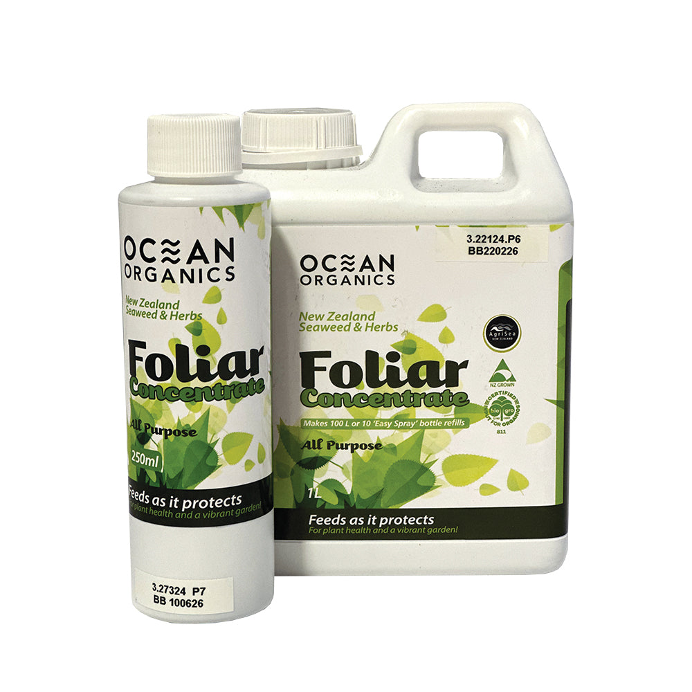 seaweed spray for garden Buy Seaweed & Herb Foliar Concentrate by Kings Seeds NZ online