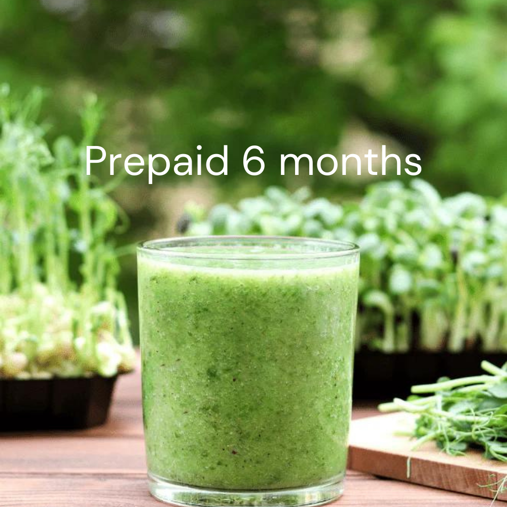 Buy 6 Month Prepaid Microgreen Seed Subscription (includes 5 months shipping) by Kings Seeds NZ
