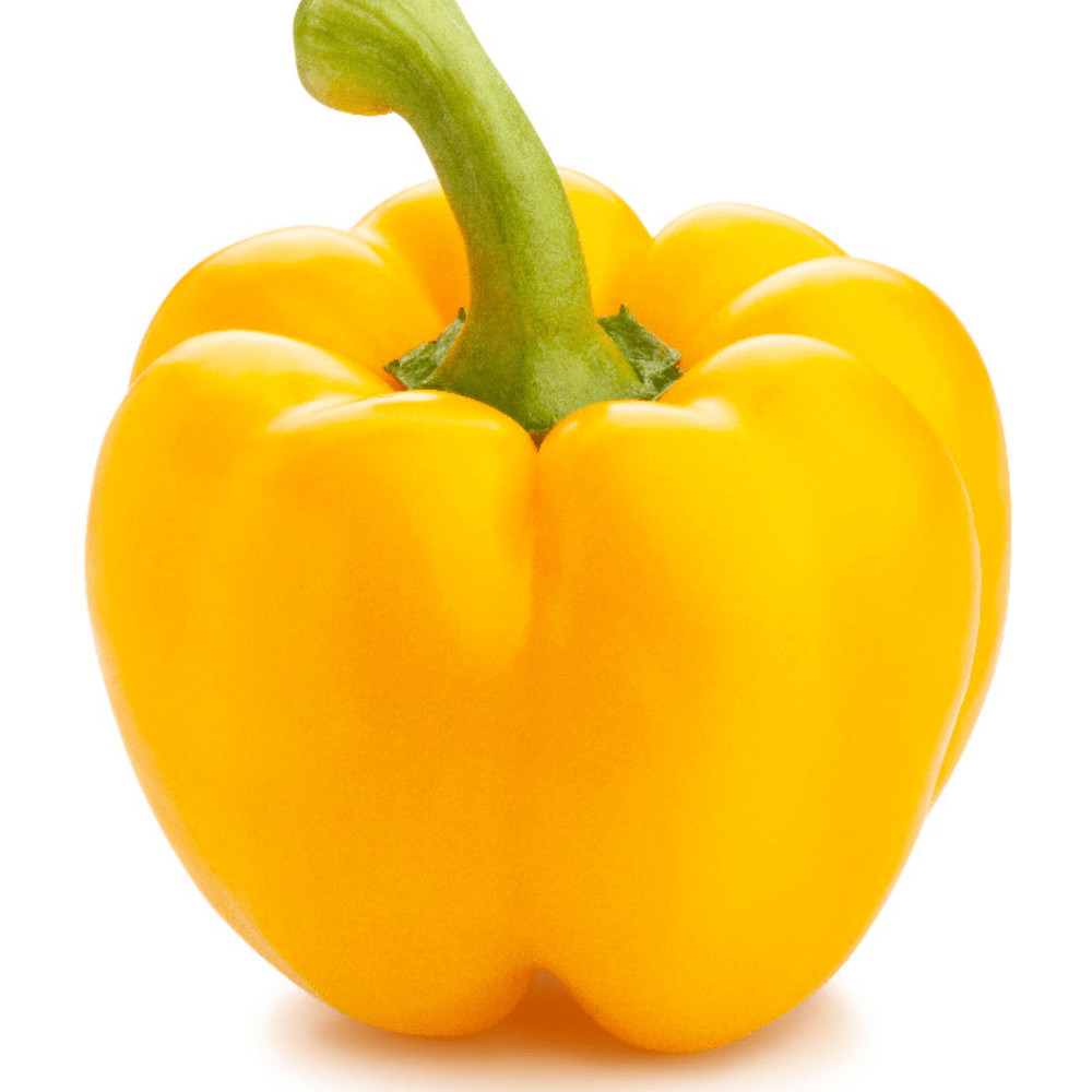 Yellow capsicum discount