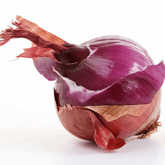 Kings Seeds Organic Organic Onion Red Amposta