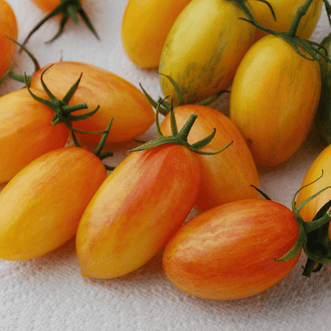 Kings Seeds Organic Organic Tomato Artisan Blush