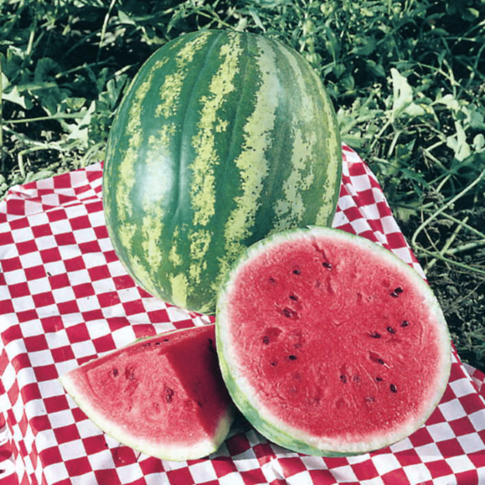 Crimson sweet watermelon deals