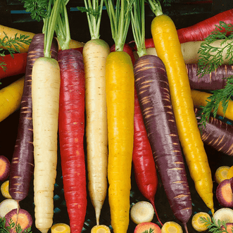 Kings Seeds Vegetables Carrot Rainbow Blend F1