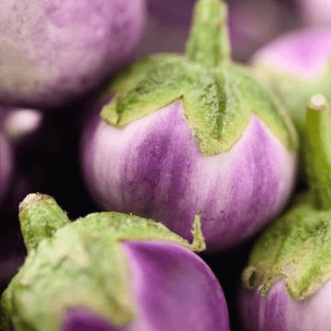 Kings Seeds Vegetables Eggplant Thai Purple