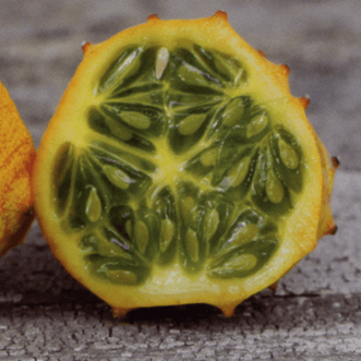 Kings Seeds Vegetables Kiwano Horned Melon