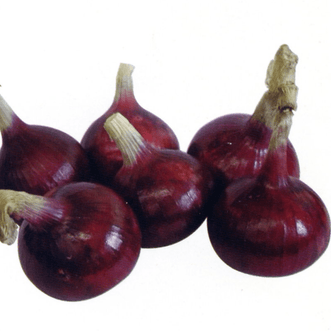 Kings Seeds Vegetables Onion Purplette