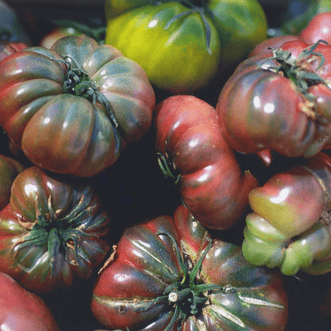 Kings Seeds Vegetables Tomato Black Krim