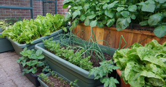 Growing in Small Spaces: Tips for Apartment Dwellers and Urban Gardeners