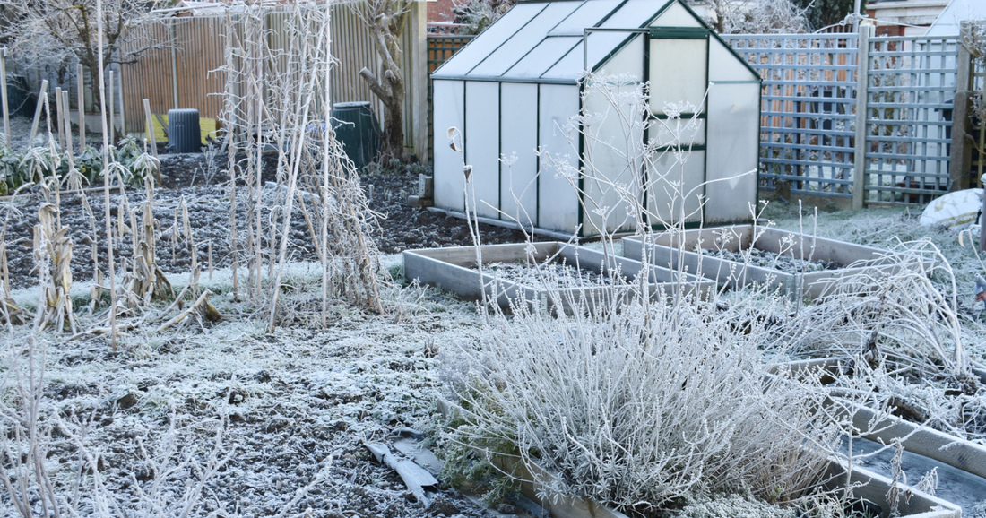 The chill in the air may make you shiver, but the winter garden is worth the quiver!