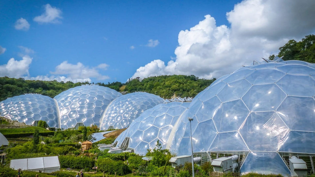 Poem from the Eden Project