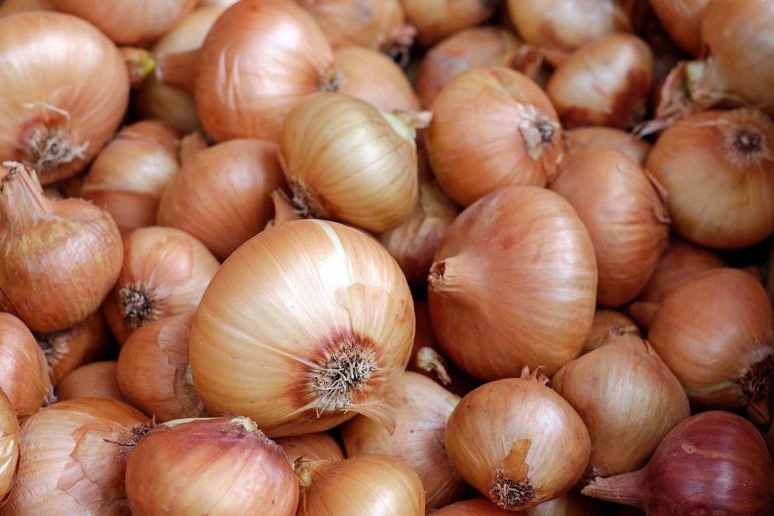 A look at Onions - without making you cry