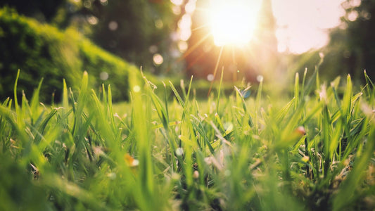 Are you ready for spring?