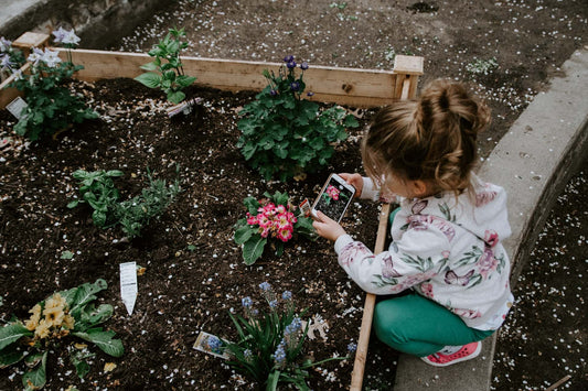 Children's gardens