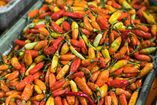 Chillies, Eggplants and Peppers