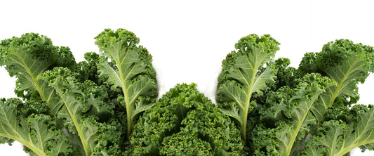 Cute & Curly Kale
