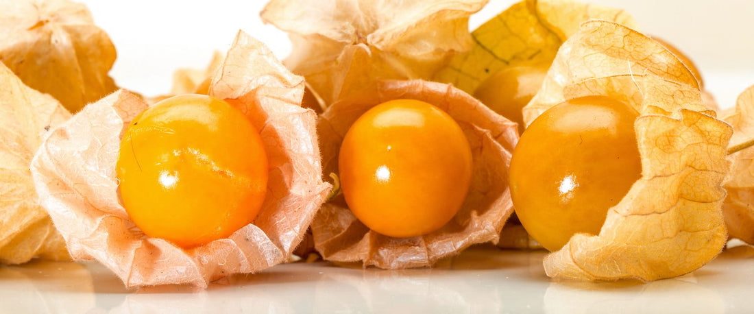 Different Types of Fruit Seeds Grown from Seed