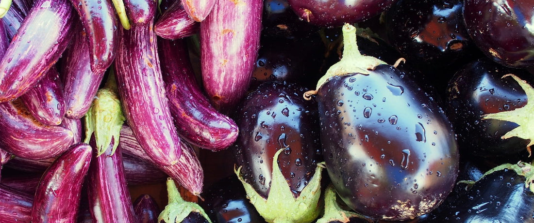Elegant Eggplants