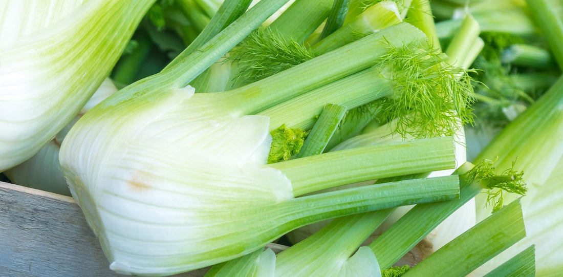 Fantastic Fennel