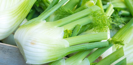 Fantastic Fennel