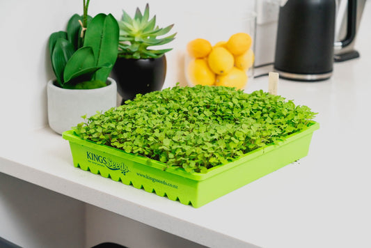 Being creative with your Microgreens