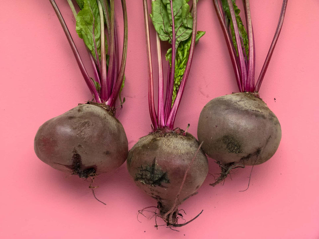 Guide to Growing Beetroot