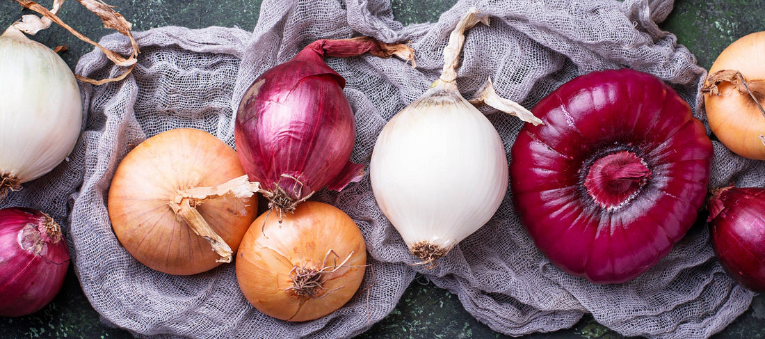 Guide to Growing Onions