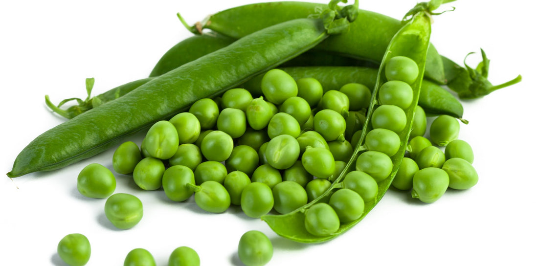 Guide to Growing Peas & Beans