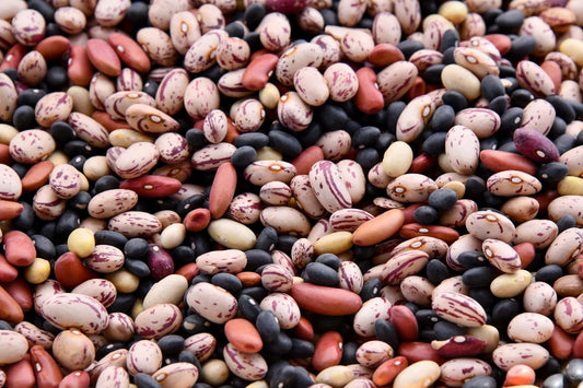 Heirloom Bean Bounty