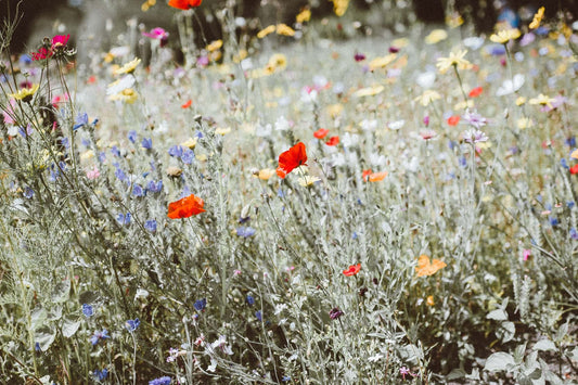 Heirloom Flower Power