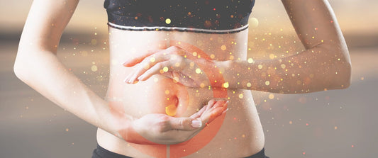 Herbs to Maintain Gut Health