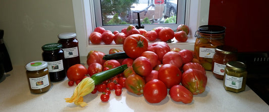Kings Seeds Sauce Recipes