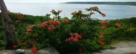 Fresh Greens in Niue