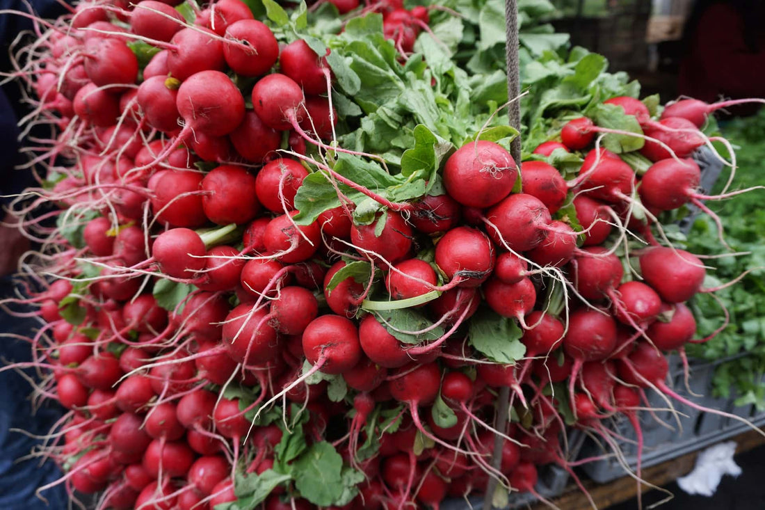 Red Vegetables for Autumn Gardens