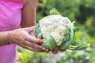 How to Grow Cauliflower: Your Complete Guide