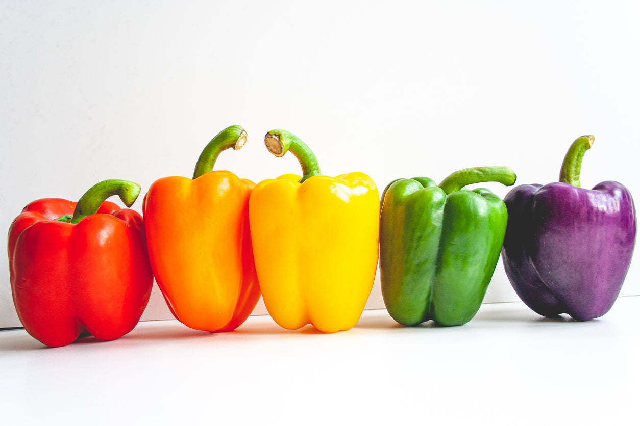 Capsicum In How to Grow Capsicums - Kings Seeds NZ