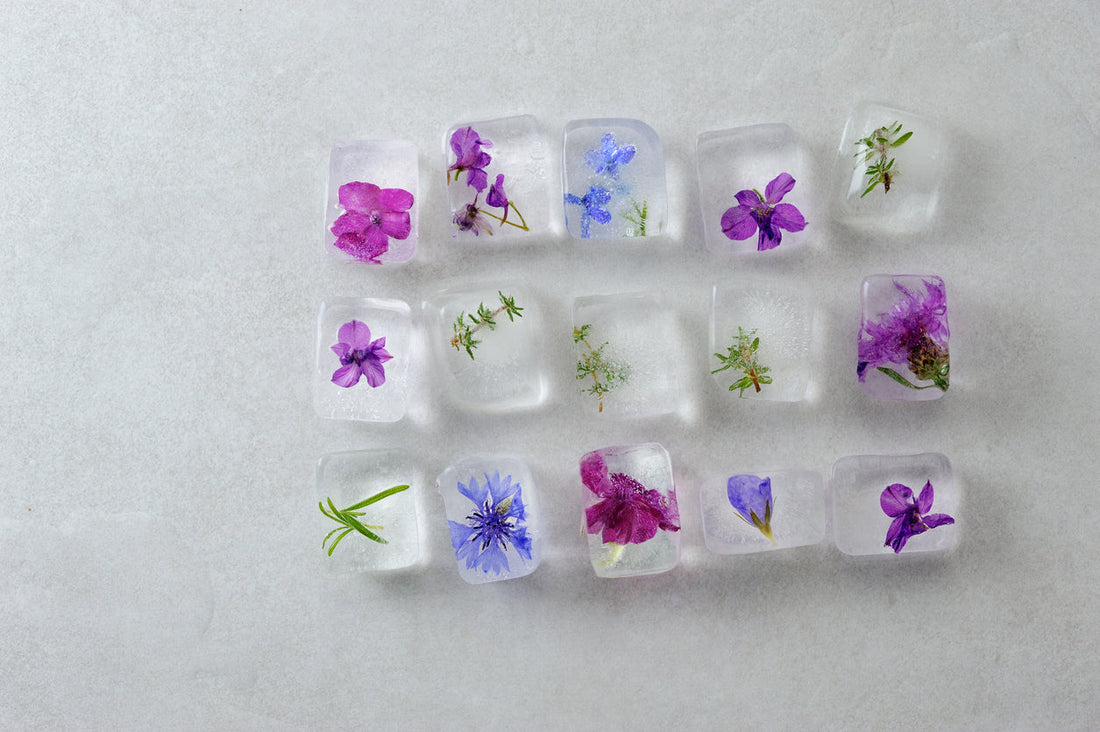 The Best Edible Flowers and How to Use Them - Kings Seeds